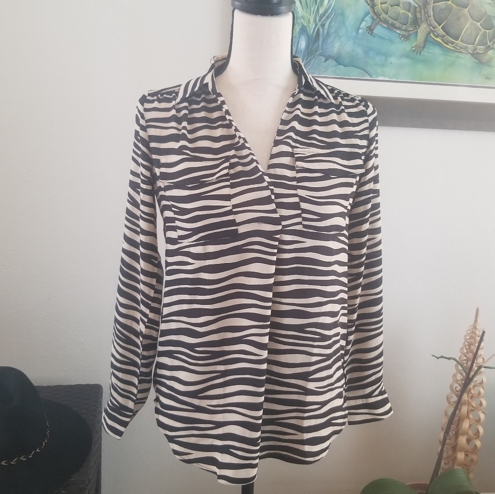 Ann Taylor sheer long sleeve